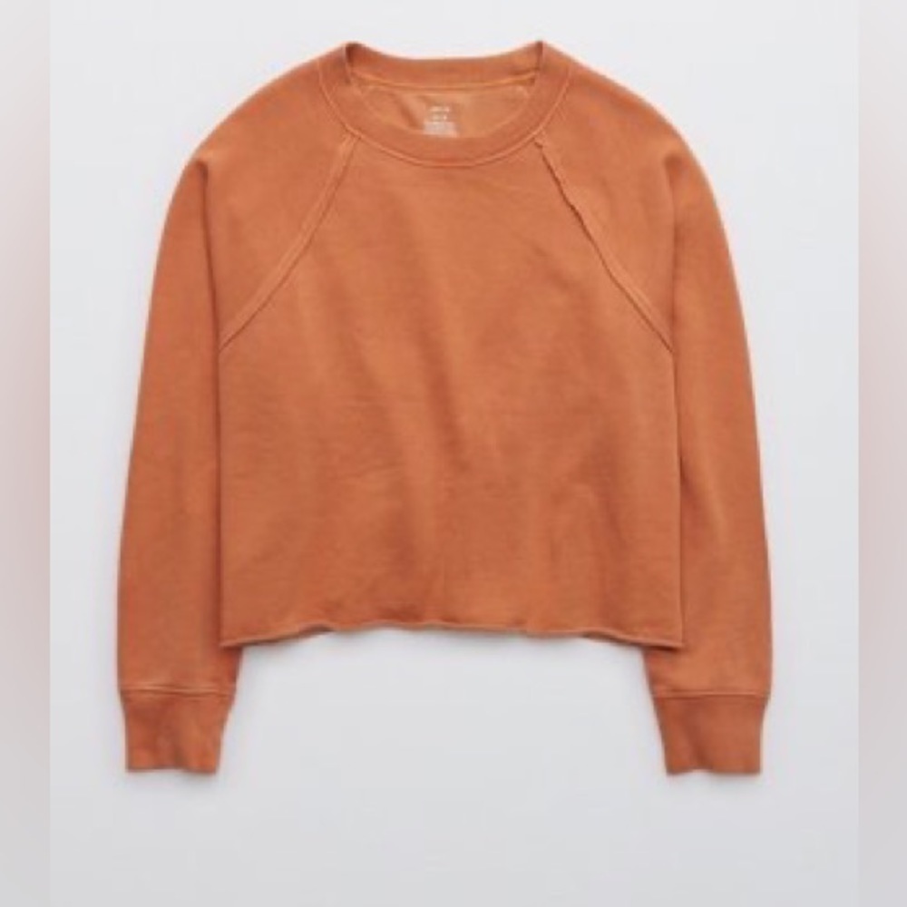Aerie “Fleece-Of-Mind” Varsity Cropped Crewneck Sweatshirt